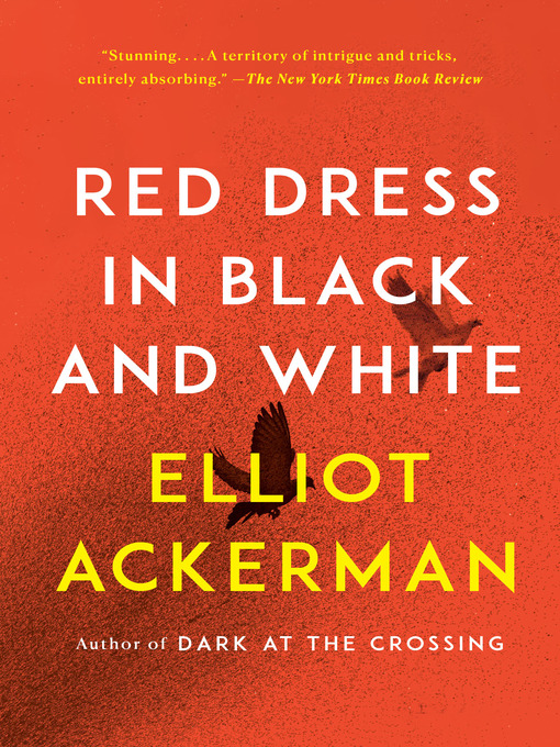 Cover image for Red Dress in Black and White